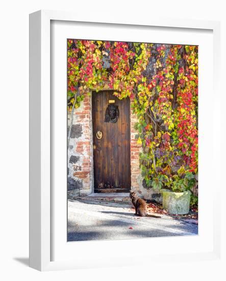 Italy, Tuscany, Contignano. a Wooden Door Surrounded by Fall and Cat-Julie Eggers-Framed Photographic Print