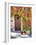 Italy, Tuscany, Contignano. a Wooden Door Surrounded by Fall and Cat-Julie Eggers-Framed Photographic Print