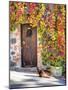 Italy, Tuscany, Contignano. a Wooden Door Surrounded by Fall and Cat-Julie Eggers-Mounted Photographic Print