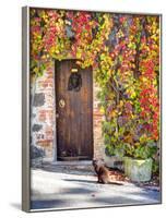 Italy, Tuscany, Contignano. a Wooden Door Surrounded by Fall and Cat-Julie Eggers-Framed Photographic Print