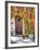 Italy, Tuscany, Contignano. a Wooden Door Surrounded by Fall and Cat-Julie Eggers-Framed Photographic Print