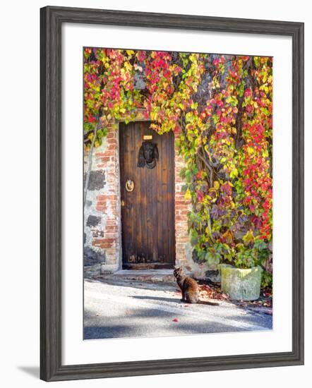 Italy, Tuscany, Contignano. a Wooden Door Surrounded by Fall and Cat-Julie Eggers-Framed Photographic Print