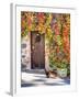 Italy, Tuscany, Contignano. a Wooden Door Surrounded by Fall and Cat-Julie Eggers-Framed Photographic Print