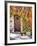 Italy, Tuscany, Contignano. a Wooden Door Surrounded by Fall and Cat-Julie Eggers-Framed Photographic Print