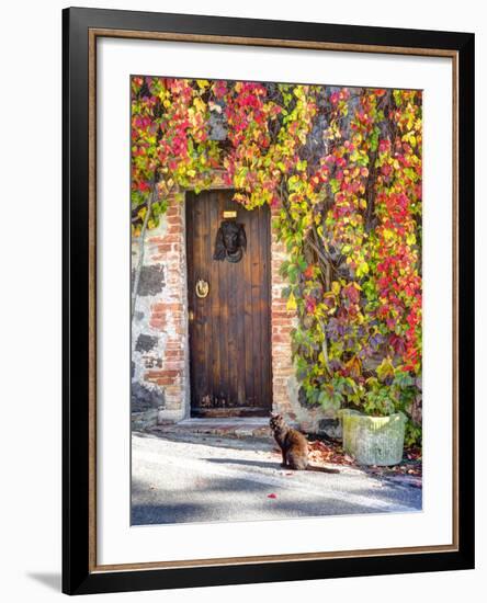 Italy, Tuscany, Contignano. a Wooden Door Surrounded by Fall and Cat-Julie Eggers-Framed Photographic Print