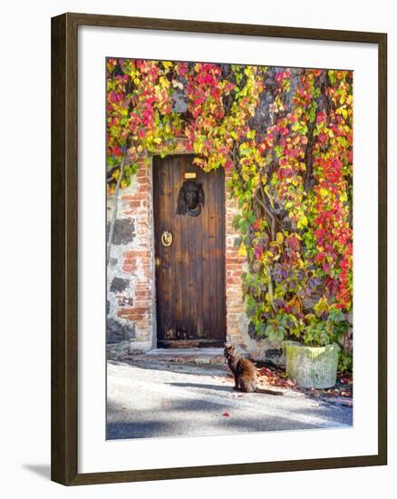 Italy, Tuscany, Contignano. a Wooden Door Surrounded by Fall and Cat-Julie Eggers-Framed Photographic Print