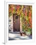 Italy, Tuscany, Contignano. a Wooden Door Surrounded by Fall and Cat-Julie Eggers-Framed Photographic Print