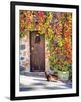 Italy, Tuscany, Contignano. a Wooden Door Surrounded by Fall and Cat-Julie Eggers-Framed Photographic Print