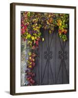 Italy, Tuscany, Contignano. Door Surrounded by Fall Colored Ivy-Julie Eggers-Framed Photographic Print