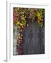 Italy, Tuscany, Contignano. Door Surrounded by Fall Colored Ivy-Julie Eggers-Framed Photographic Print