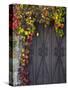 Italy, Tuscany, Contignano. Door Surrounded by Fall Colored Ivy-Julie Eggers-Stretched Canvas