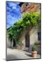 Italy, Tuscany. Courtyard of an agriturismo near the hill town of Montalcino.-Julie Eggers-Mounted Photographic Print