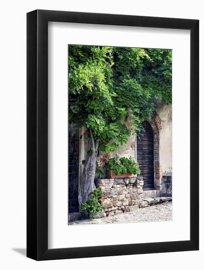 Italy, Tuscany. Courtyard of an agriturismo near the hill town of Montalcino.-Julie Eggers-Framed Photographic Print