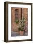 Italy, Tuscany, Crete Senesi, Asciano. Street scene with potted flowers-Julie Eggers-Framed Photographic Print