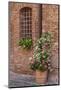 Italy, Tuscany, Crete Senesi, Asciano. Street scene with potted flowers-Julie Eggers-Mounted Photographic Print