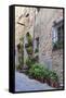 Italy, Tuscany, Crete Senesi, Asciano. Street scene with potted flowers-Julie Eggers-Framed Stretched Canvas