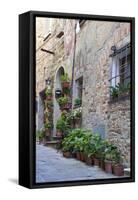 Italy, Tuscany, Crete Senesi, Asciano. Street scene with potted flowers-Julie Eggers-Framed Stretched Canvas