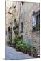 Italy, Tuscany, Crete Senesi, Asciano. Street scene with potted flowers-Julie Eggers-Mounted Photographic Print