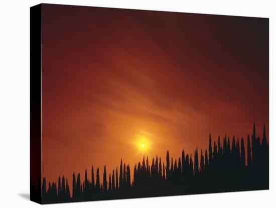 Italy, Tuscany, Cypresses, Evening Sun-Thonig-Stretched Canvas