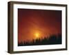 Italy, Tuscany, Cypresses, Evening Sun-Thonig-Framed Photographic Print