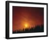 Italy, Tuscany, Cypresses, Evening Sun-Thonig-Framed Photographic Print