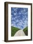 Italy, Tuscany. Dirt road to villa.-Jaynes Gallery-Framed Photographic Print