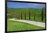 Italy, Tuscany. Dirt road with Vitaleta Chapel in distance-Jaynes Gallery-Framed Photographic Print