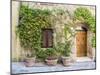 Italy, Tuscany. Entrance to a home in Tuscany decorated with potted plants.-Julie Eggers-Mounted Photographic Print