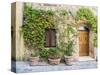 Italy, Tuscany. Entrance to a home in Tuscany decorated with potted plants.-Julie Eggers-Stretched Canvas