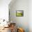 Italy, Tuscany. Farm House and Vineyard in the Chianti Region-Julie Eggers-Framed Stretched Canvas displayed on a wall