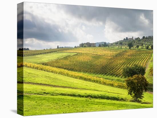 Italy, Tuscany. Farm House and Vineyard in the Chianti Region-Julie Eggers-Stretched Canvas