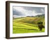 Italy, Tuscany. Farm House and Vineyard in the Chianti Region-Julie Eggers-Framed Premium Photographic Print