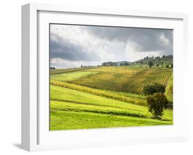 Italy, Tuscany. Farm House and Vineyard in the Chianti Region-Julie Eggers-Framed Premium Photographic Print