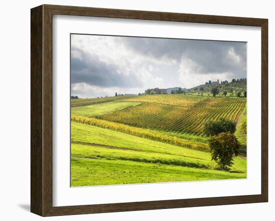 Italy, Tuscany. Farm House and Vineyard in the Chianti Region-Julie Eggers-Framed Photographic Print