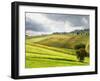 Italy, Tuscany. Farm House and Vineyard in the Chianti Region-Julie Eggers-Framed Photographic Print