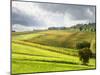 Italy, Tuscany. Farm House and Vineyard in the Chianti Region-Julie Eggers-Mounted Photographic Print