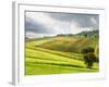 Italy, Tuscany. Farm House and Vineyard in the Chianti Region-Julie Eggers-Framed Photographic Print