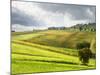 Italy, Tuscany. Farm House and Vineyard in the Chianti Region-Julie Eggers-Mounted Photographic Print