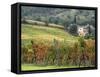 Italy, Tuscany. Farm House and Vineyard in the Chianti Region-Julie Eggers-Framed Stretched Canvas