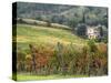 Italy, Tuscany. Farm House and Vineyard in the Chianti Region-Julie Eggers-Stretched Canvas