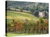 Italy, Tuscany. Farm House and Vineyard in the Chianti Region-Julie Eggers-Stretched Canvas