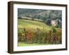 Italy, Tuscany. Farm House and Vineyard in the Chianti Region-Julie Eggers-Framed Premium Photographic Print