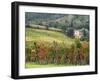 Italy, Tuscany. Farm House and Vineyard in the Chianti Region-Julie Eggers-Framed Premium Photographic Print
