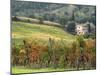 Italy, Tuscany. Farm House and Vineyard in the Chianti Region-Julie Eggers-Mounted Premium Photographic Print