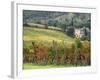 Italy, Tuscany. Farm House and Vineyard in the Chianti Region-Julie Eggers-Framed Photographic Print