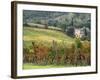 Italy, Tuscany. Farm House and Vineyard in the Chianti Region-Julie Eggers-Framed Photographic Print