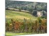Italy, Tuscany. Farm House and Vineyard in the Chianti Region-Julie Eggers-Mounted Photographic Print