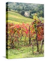 Italy, Tuscany. Farm House and Vineyard in the Chianti Region-Julie Eggers-Stretched Canvas