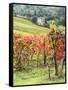 Italy, Tuscany. Farm House and Vineyard in the Chianti Region-Julie Eggers-Framed Stretched Canvas