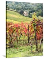 Italy, Tuscany. Farm House and Vineyard in the Chianti Region-Julie Eggers-Stretched Canvas